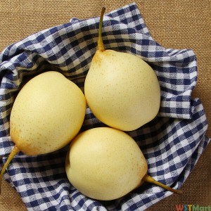 花果山 甜鸭梨 6-8个 净重约1.8kg 新鲜水果