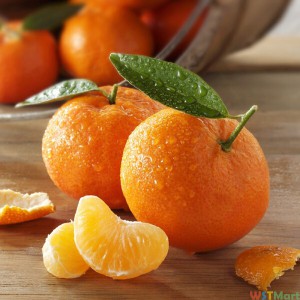 广西荔浦砂糖桔 砂糖橘 甜橘子 2.5kg礼盒装 新鲜水果