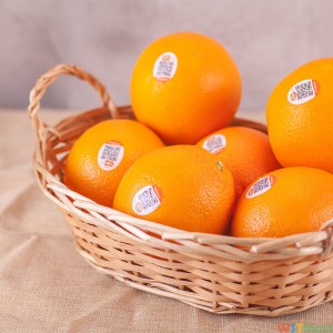 精品脐橙 约3kg装 铂金果 家庭分享装 新老包装随机发货 橙子水果